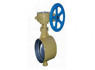 焊接保(bǎo)溫蝶閥